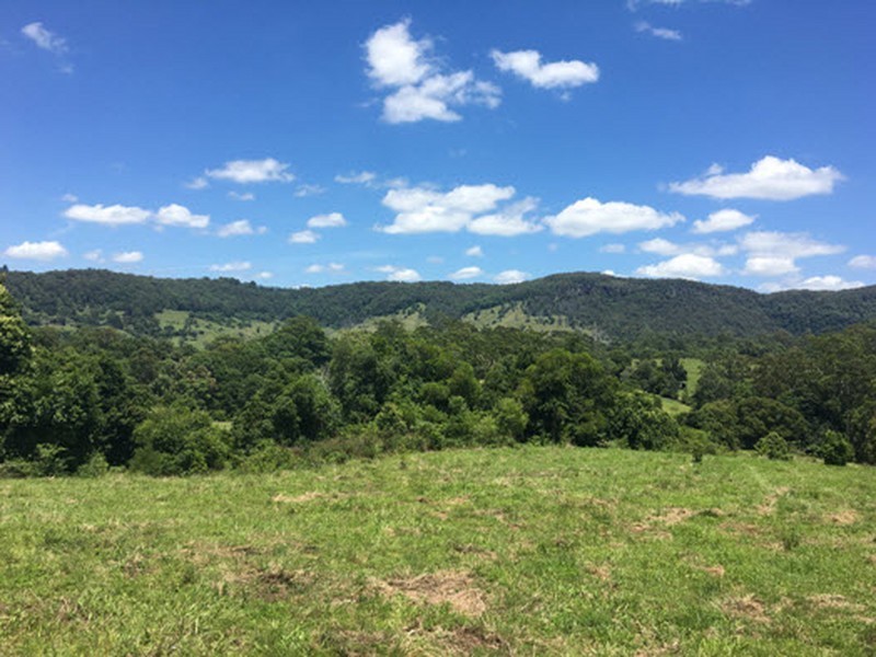 100 Bishops Creek Road, Coffee Camp NSW 2480