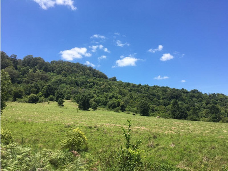 100 Bishops Creek Road, Coffee Camp NSW 2480