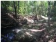 100 Bishops Creek Road, Coffee Camp NSW 2480