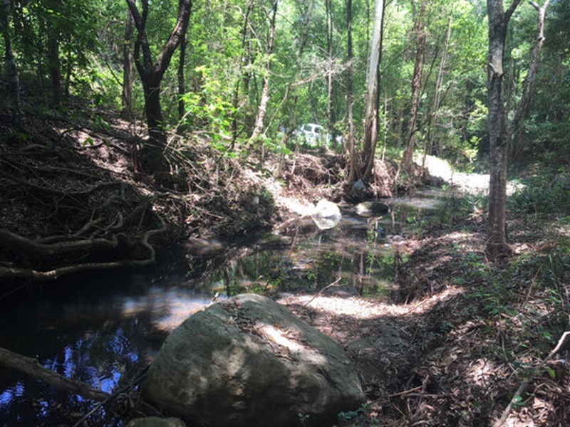 100 Bishops Creek Road, Coffee Camp NSW 2480