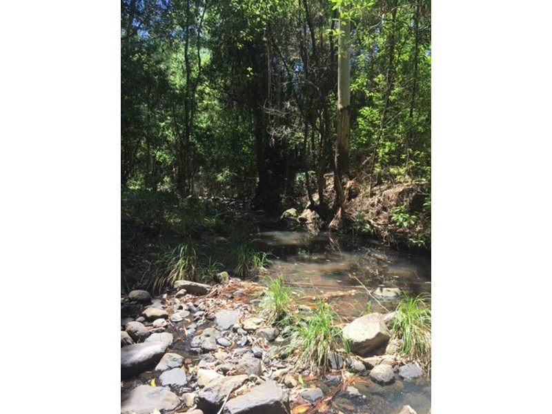 100 Bishops Creek Road, Coffee Camp NSW 2480