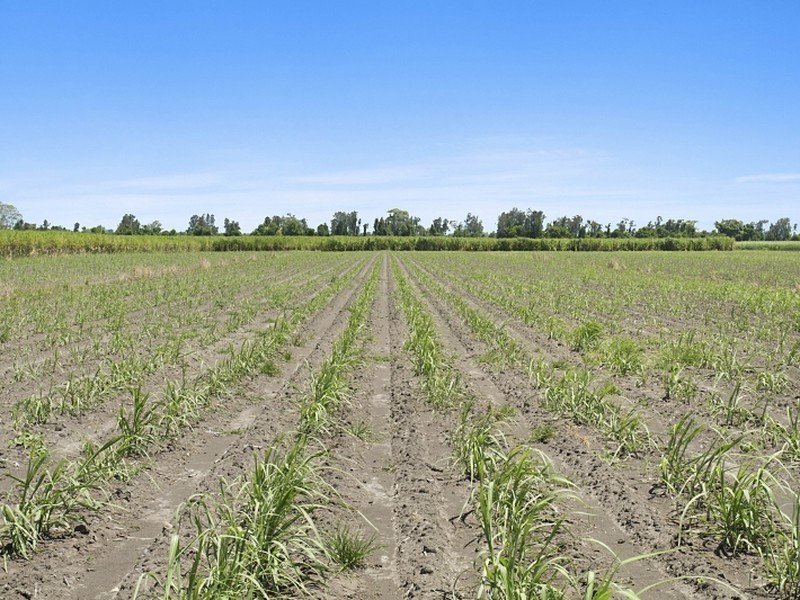 418 Broadwater Road, Dungarubba NSW 2480