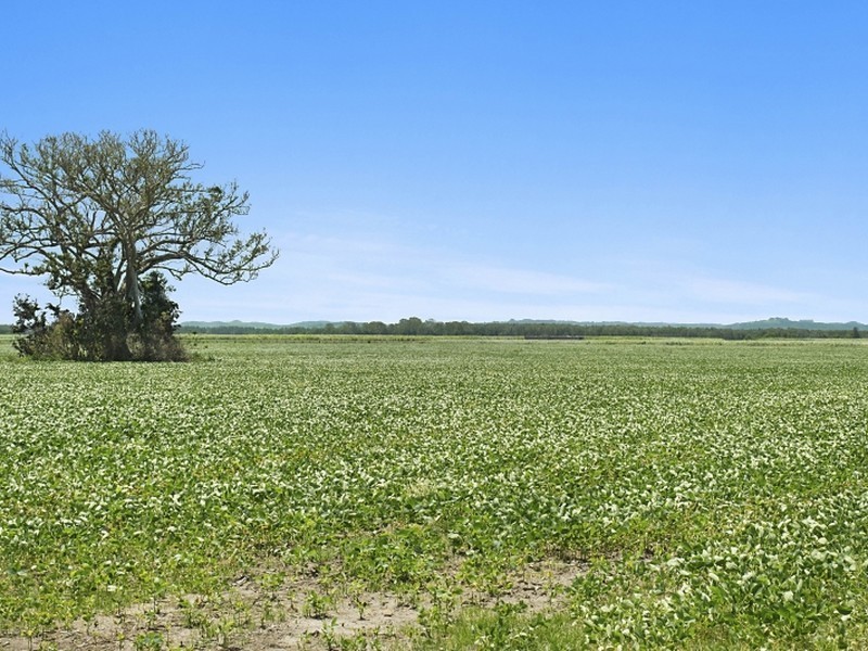 418 Broadwater Road, Dungarubba NSW 2480