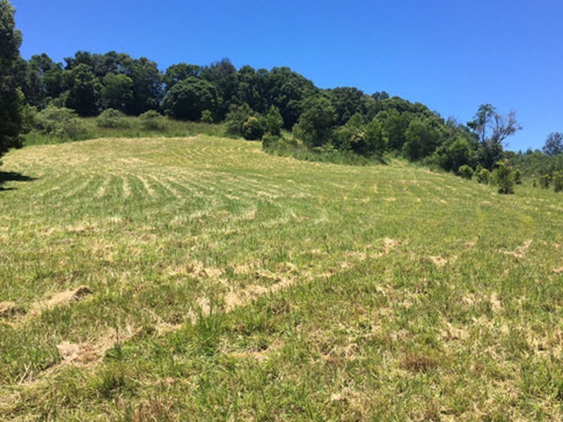 87 Willis Road, Tregeagle NSW 2480