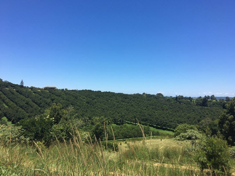 87 Willis Road, Tregeagle NSW 2480