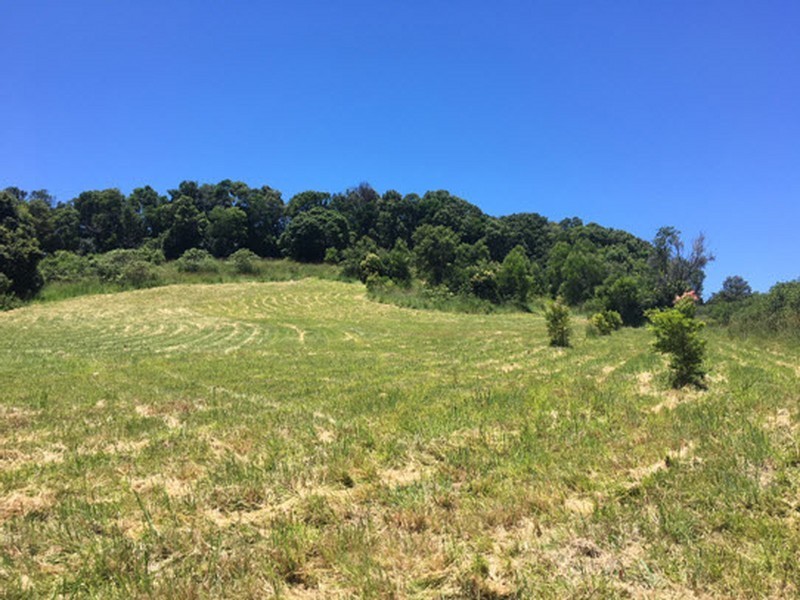 87 Willis Road, Tregeagle NSW 2480