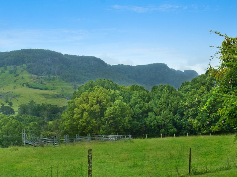 2012 Nimbin Road, Coffee Camp NSW 2480