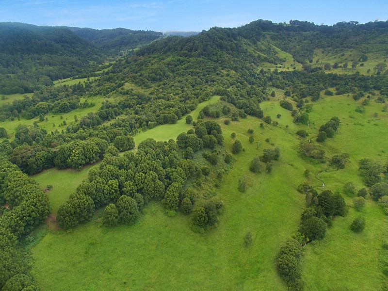 2012 Nimbin Road, Coffee Camp NSW 2480