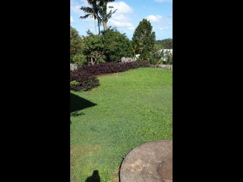 38 Ryces Drive, Clunes NSW 2480