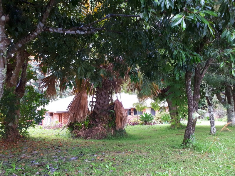 3 James Street, Dunoon NSW 2480