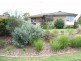 59 Oleander Crescent, Riverstone NSW 2765