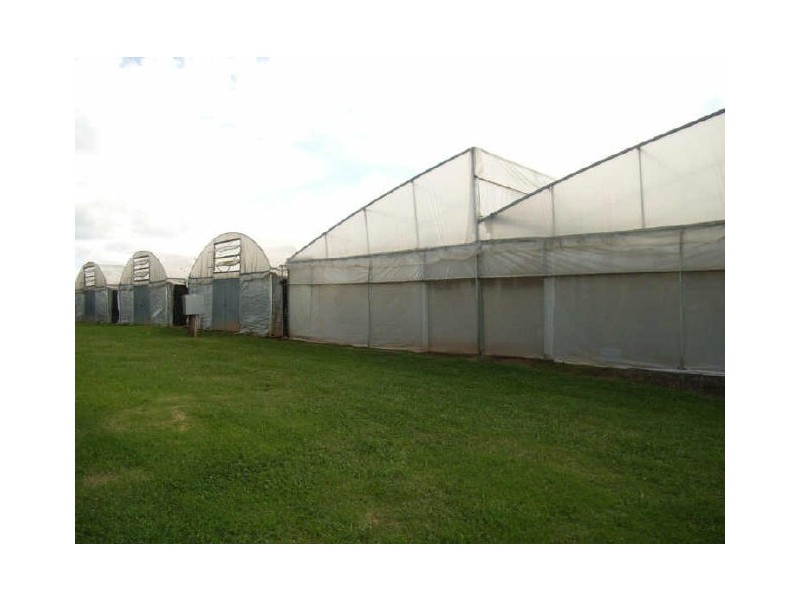 144 South Street, Marsden Park NSW 2765