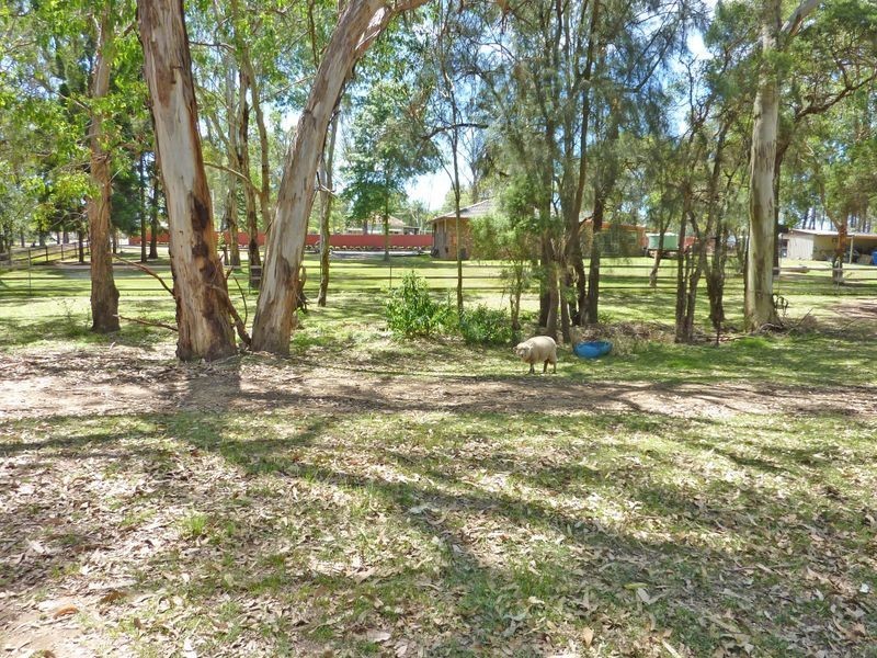 81 Vine Street East, Schofields NSW 2762