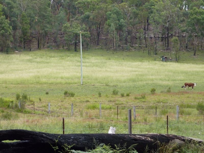 8776 Putty Road, Putty NSW 2330