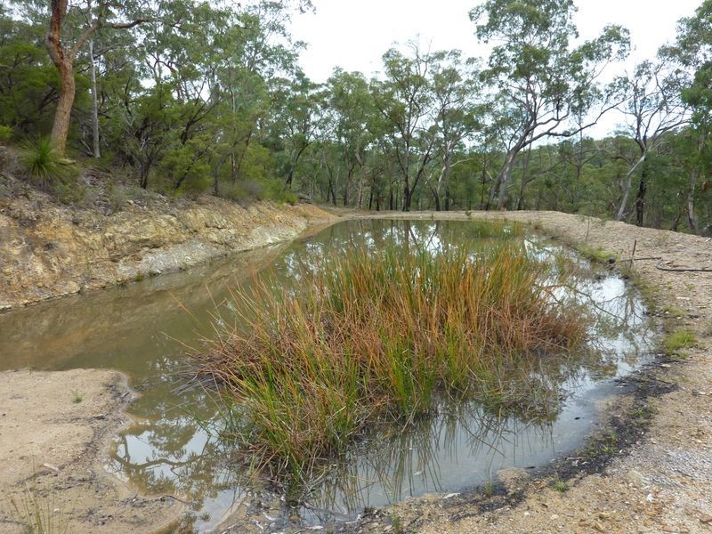 8776 Putty Road, Putty NSW 2330