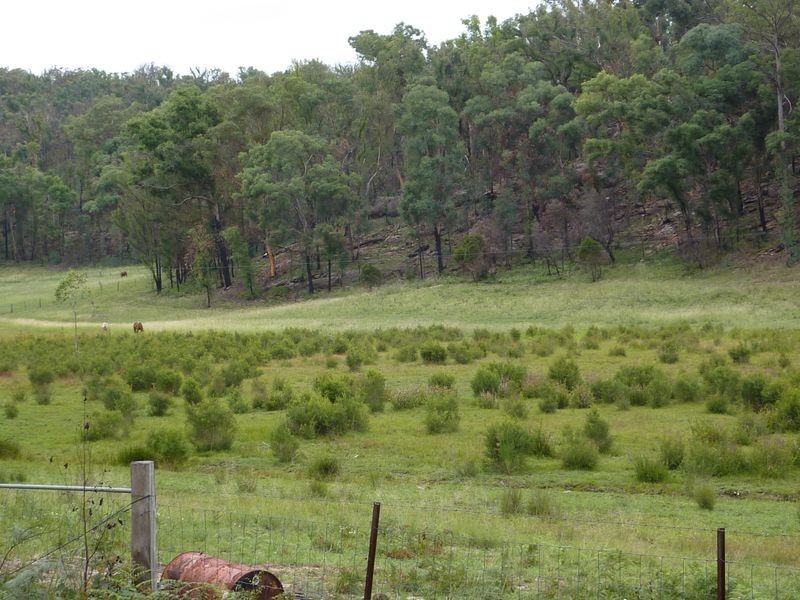 8776 Putty Road, Putty NSW 2330