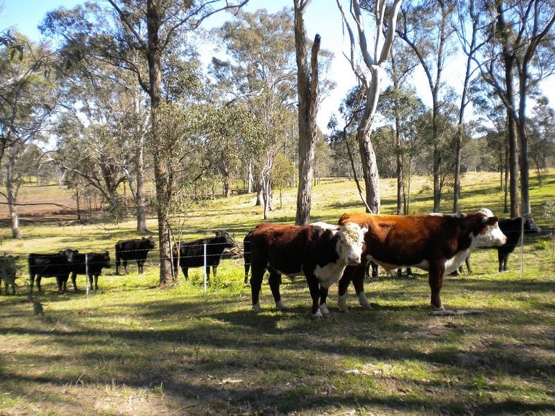 665 Sackville Road, Ebenezer NSW 2756