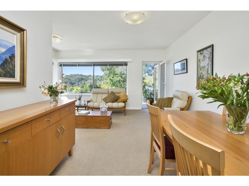 1/15 White Street, Balgowlah NSW 2093