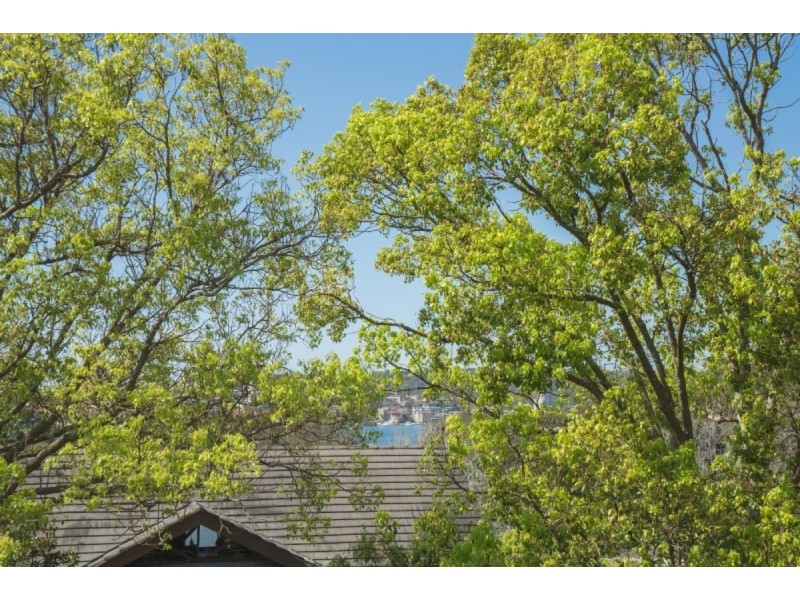 1/7 Jackson Street, Balgowlah NSW 2093