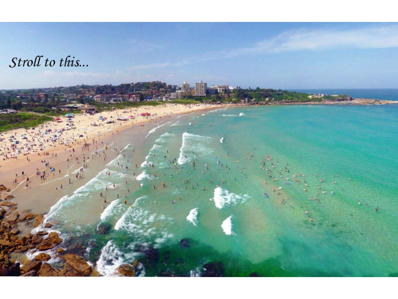 5/3 Evans Street, Freshwater NSW 2096