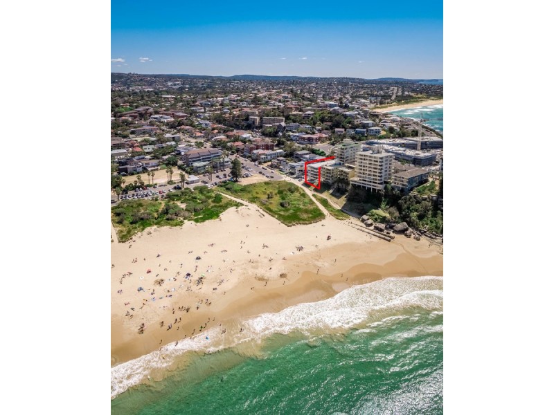 7/67 Evans Street, Freshwater NSW 2096