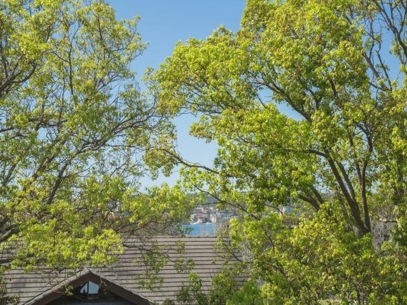 1/7 Jackson Street, Balgowlah NSW 2093