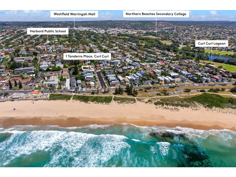 1 Tanderra Place, Curl Curl NSW 2096