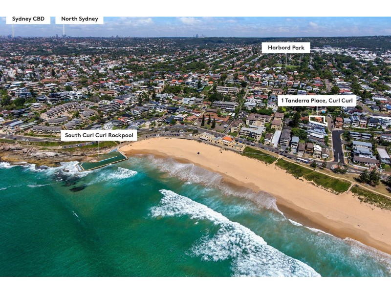 1 Tanderra Place, Curl Curl NSW 2096
