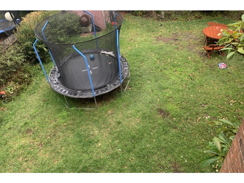 2/43 Wanganella Street, Balgowlah NSW 2093