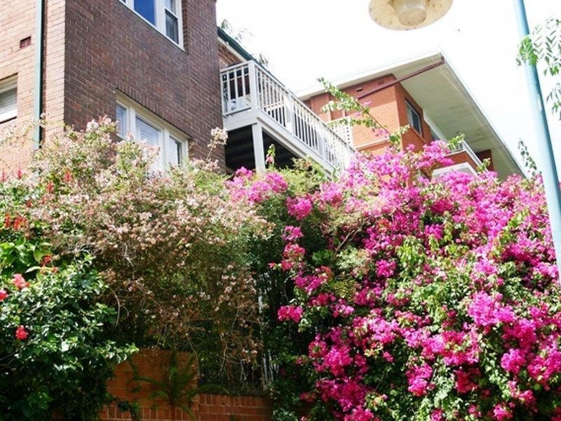 1/53 Lauderdale Avenue, Fairlight NSW 2094