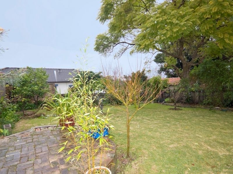 53 Sydney Street, Willoughby NSW 2068