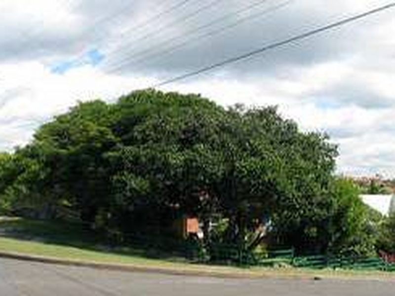 23 Vista Avenue, Balgowlah Heights NSW 2093