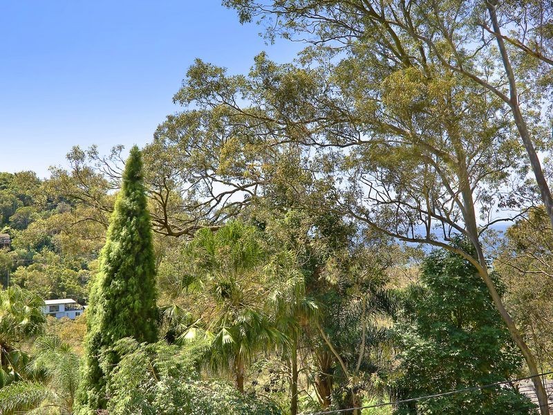 50 Grandview Drive, Newport NSW 2106