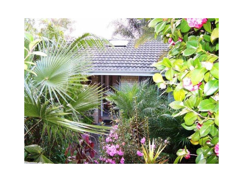 4 Manning Street, Balgowlah NSW 2093