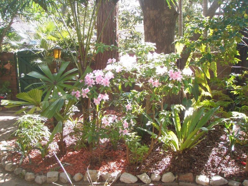 182 Wyadra Avenue, North Manly NSW 2100