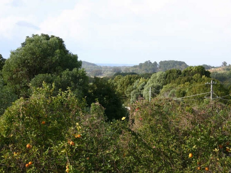136 Moffatts Road, Billinudgel NSW 2483