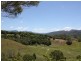 136 Moffatts Road, Billinudgel NSW 2483