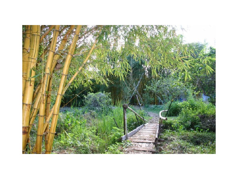 Mullumbimby NSW 2482