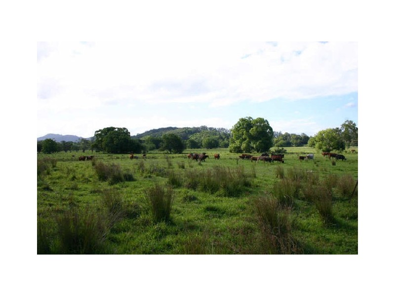 Billinudgel NSW 2483