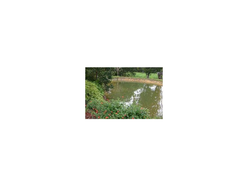 Mullumbimby NSW 2482