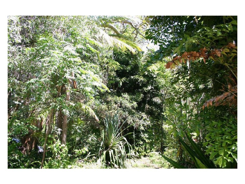 66 River Street, New Brighton NSW 2483