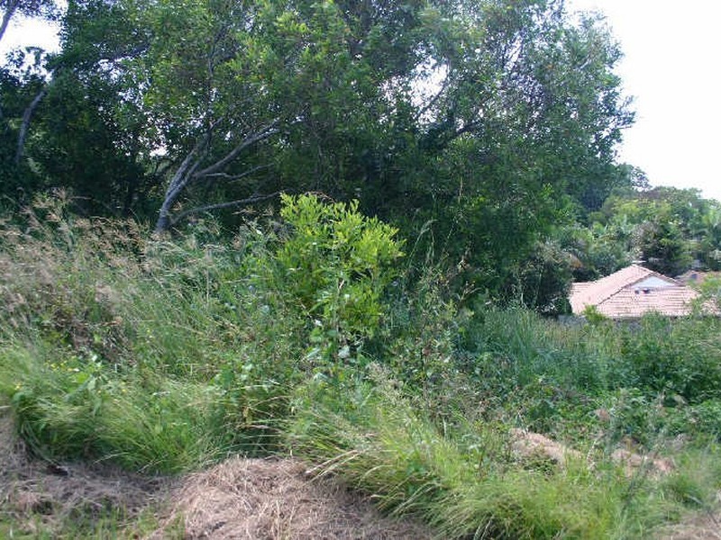 10 Gira Pl, Ocean Shores NSW 2483