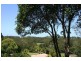 Ocean Shores NSW 2483
