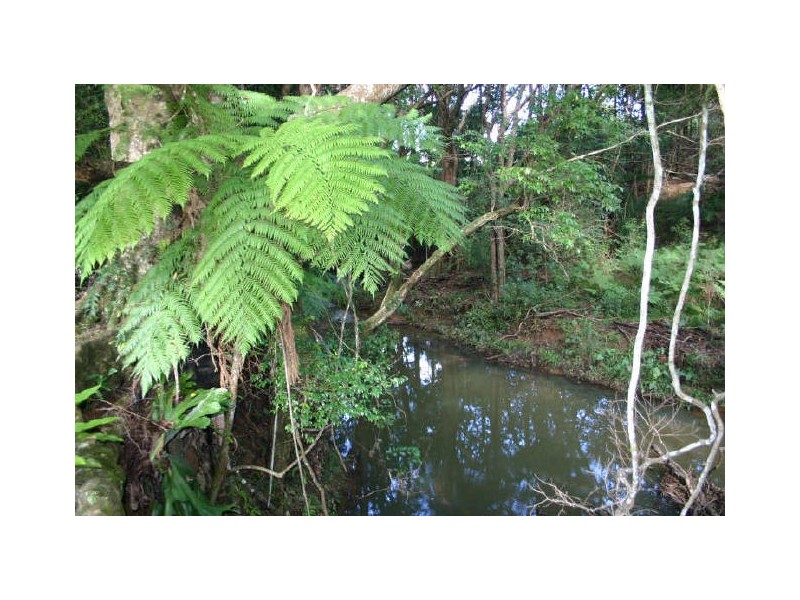 The Pocket NSW 2483