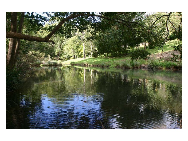 655 Wilsons Creek Road, Wilsons Creek NSW 2482