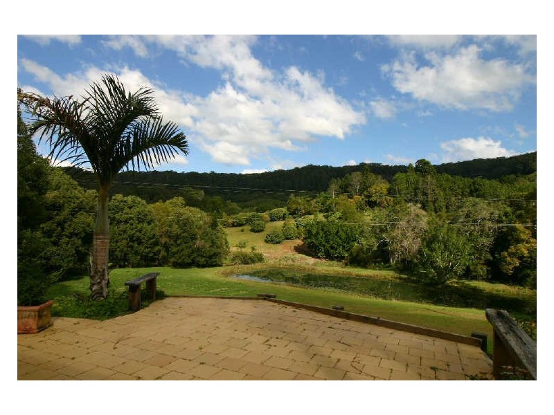 655 Wilsons Creek Road, Wilsons Creek NSW 2482
