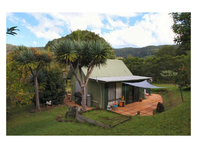 655 Wilsons Creek Road, Wilsons Creek NSW 2482