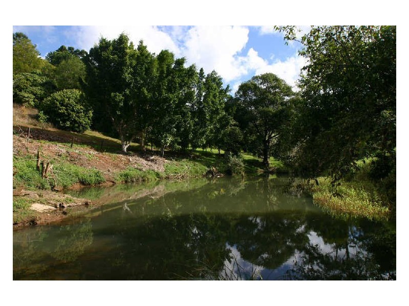 655 Wilsons Creek Road, Wilsons Creek NSW 2482