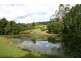 655 Wilsons Creek Road, Wilsons Creek NSW 2482