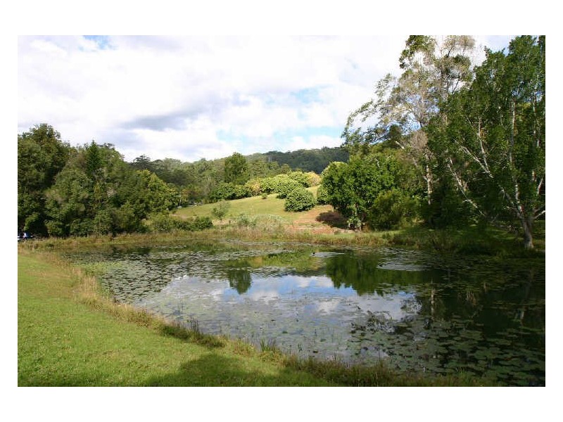 655 Wilsons Creek Road, Wilsons Creek NSW 2482